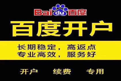 百度优化推广策略解析与应用案例